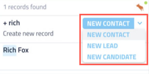 BullhornNewRecordType.png