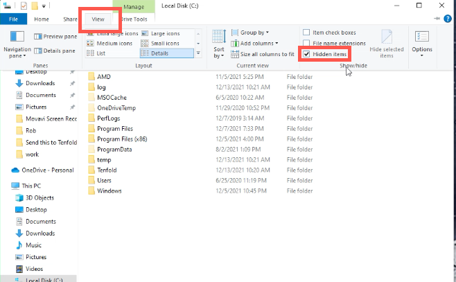 UninstallTenfoldBridgeViewHiddenItems.png